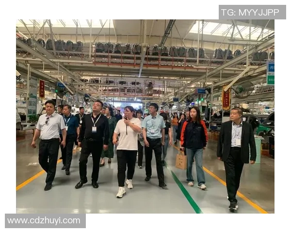 杭州排球队转型之路揭秘：从传统强队到现代化竞技新标杆